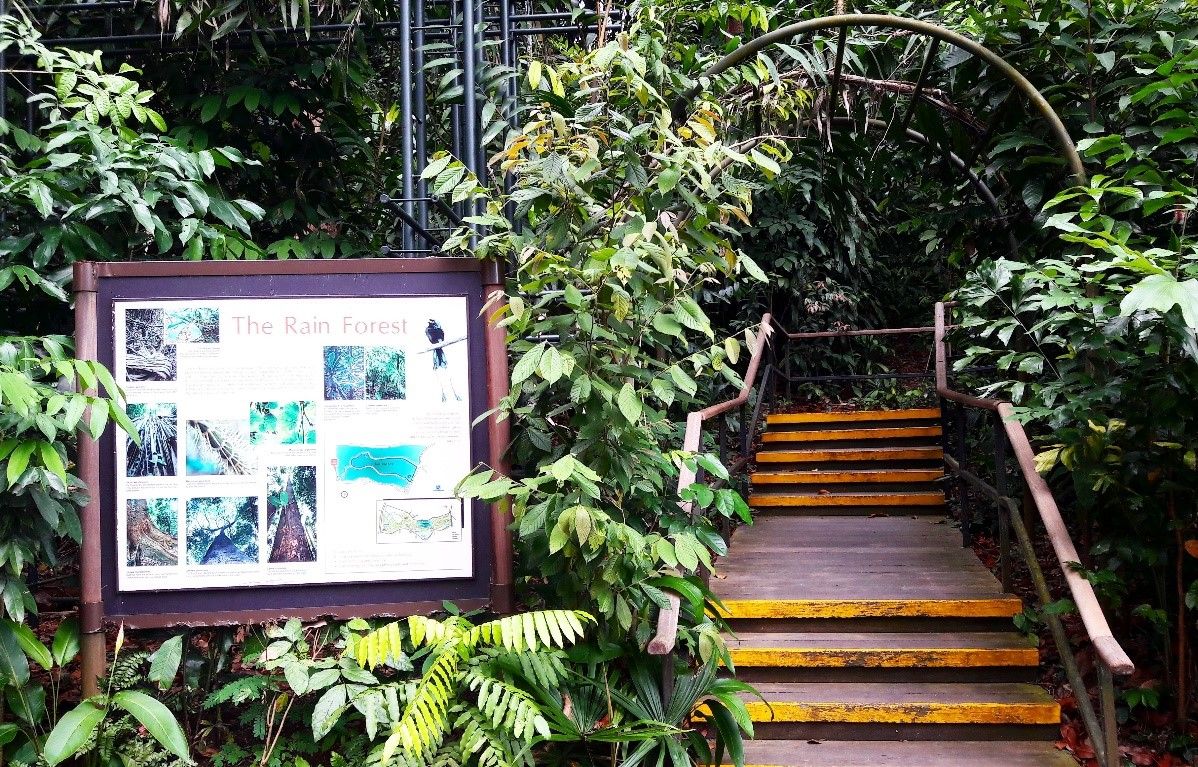 Singapore Botanic Gardens Trails