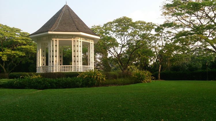 Singapore Botanic Gardens Trails