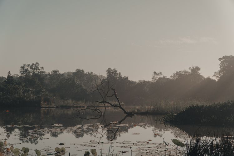 Why have an EIA Law? The Case for Public Participation